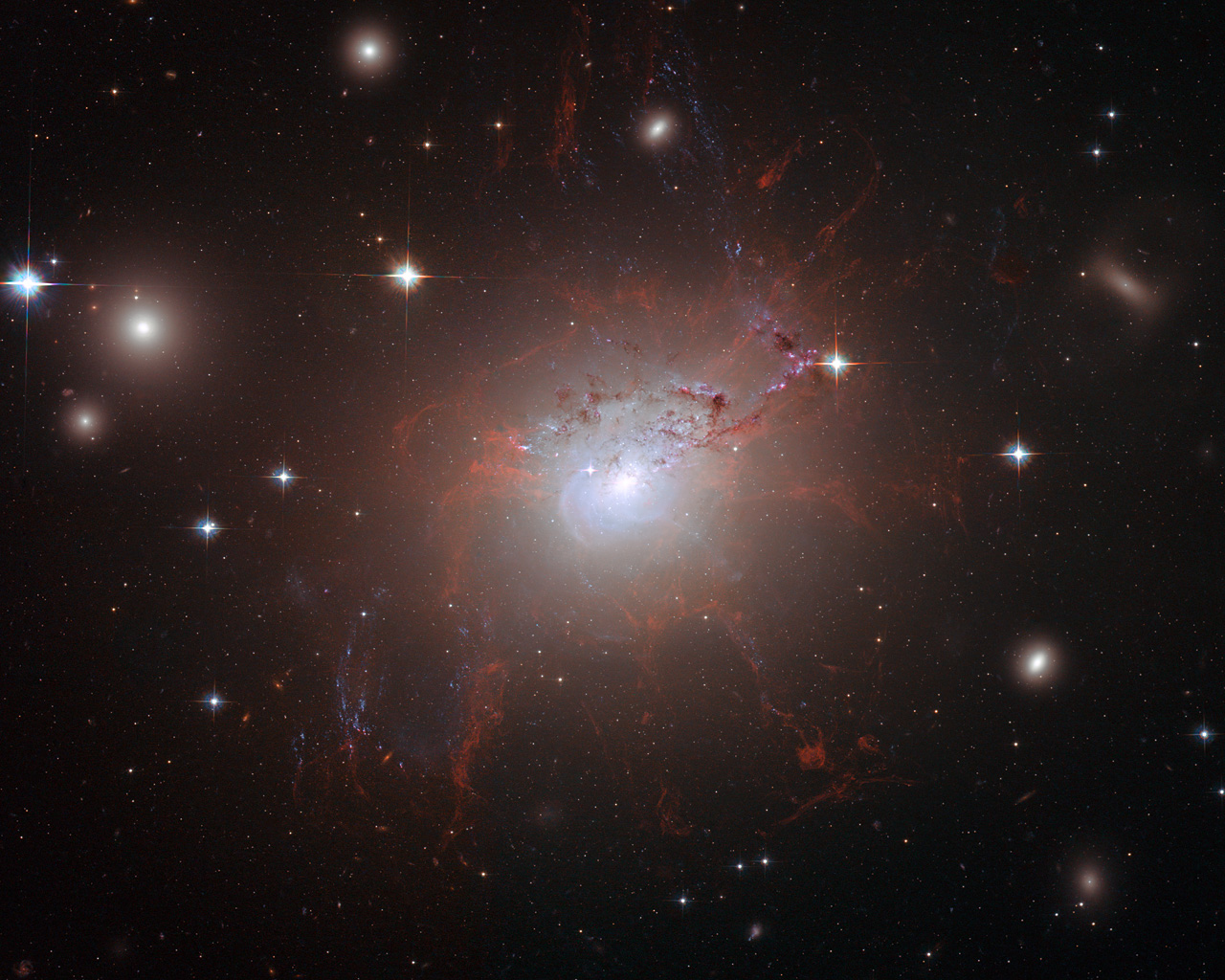 Magnetic monster NGC 1275