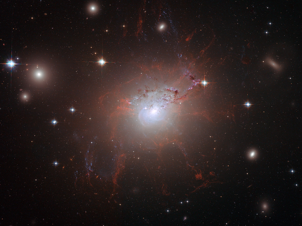 Magnetic monster NGC 1275