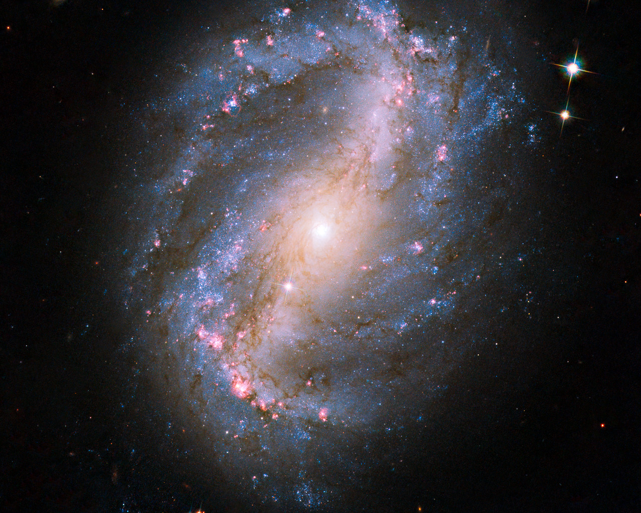 Barred spiral galaxy NGC 6217