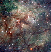 Tarantula Nebula