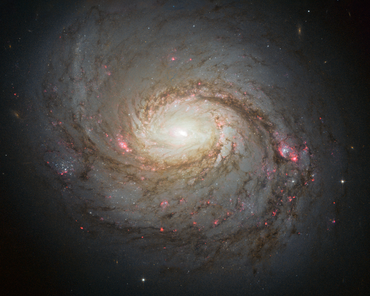 Hubble image of Messier 77