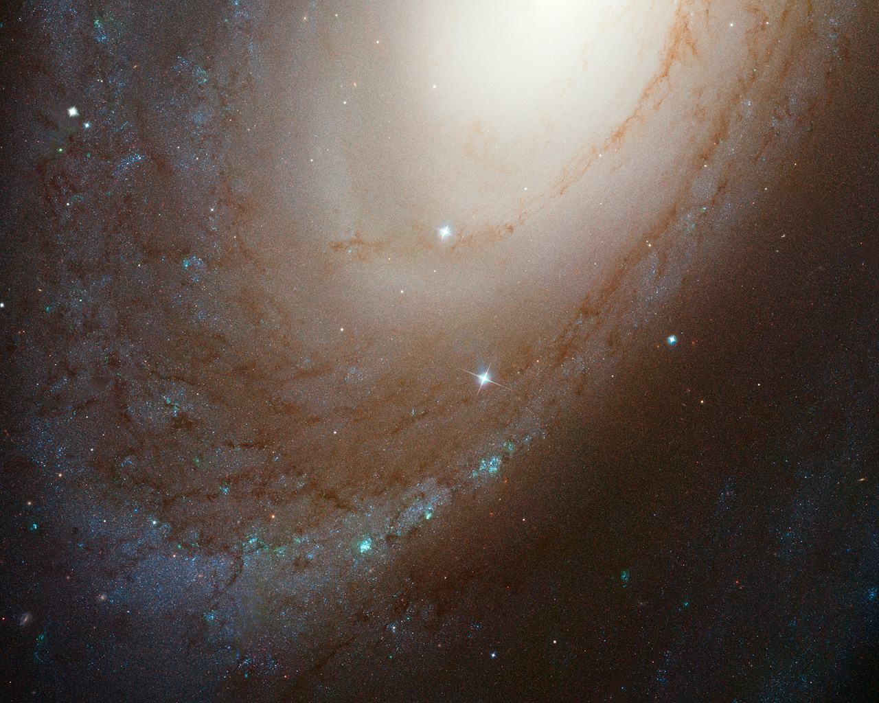 Spiral galaxy M81