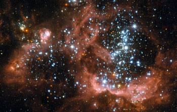 Young stars biting the cloud that feeds them