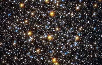 An unexpected population of young-looking stars