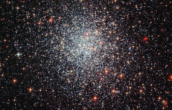 A youthful cluster