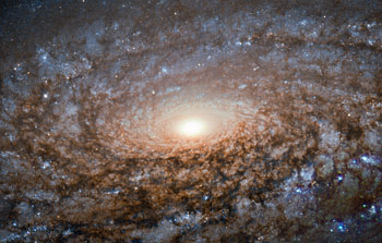 Hubble shears a "woolly" galaxy