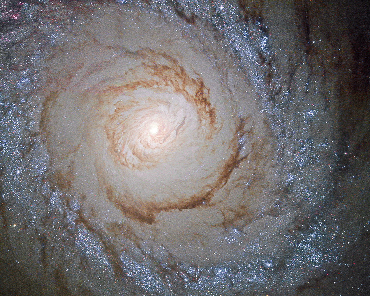 Starburst galaxy Messier 94