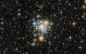 The Toucan and the cluster