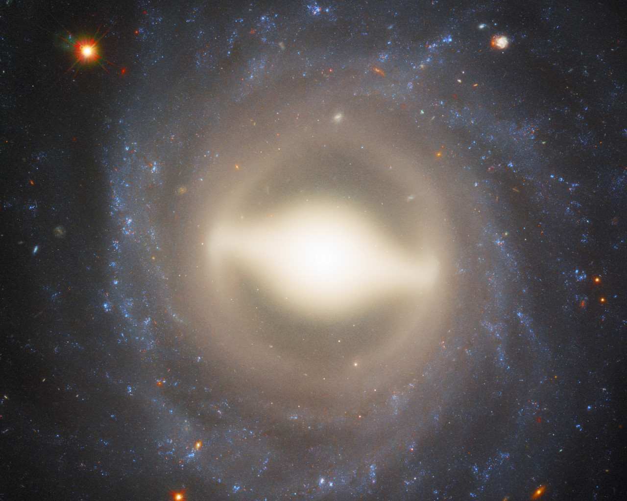 Spirals and supernovae