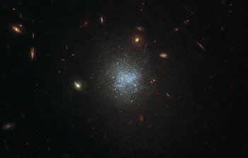 Dark Matter in the Belly of the Whale