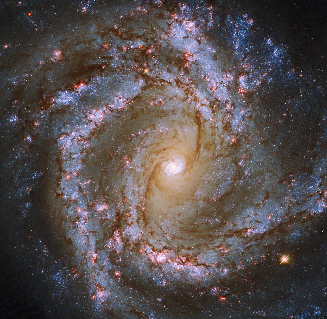 Spiral Galaxy