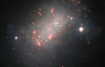 A Marvel of Galactic Morphology