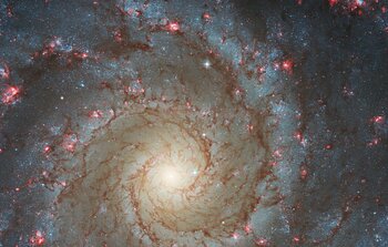 Hubble Gazes into M74