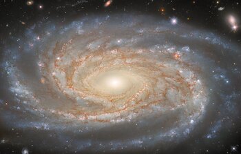 Investigating A Made-to-Measure Galaxy